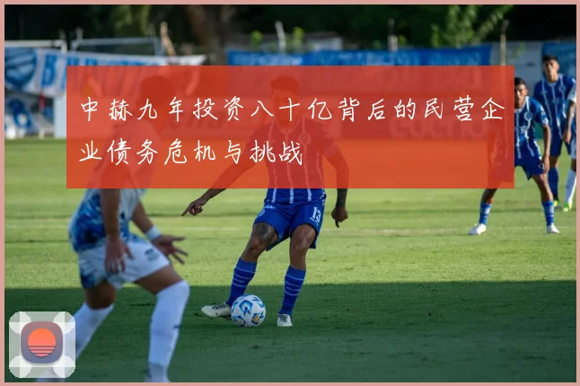 中赫九年投资八十亿背后的民营企业债务危机与挑战