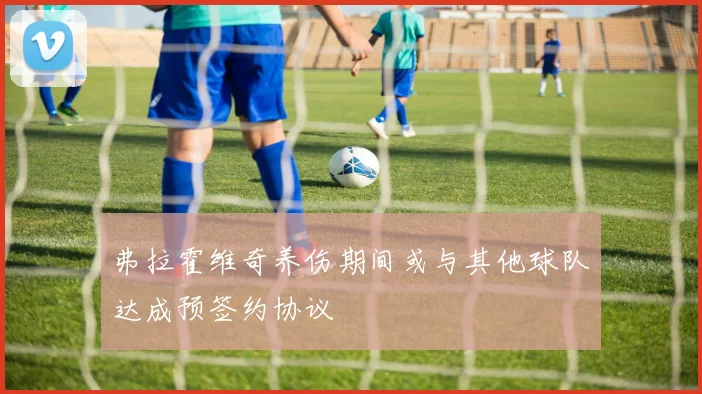 弗拉霍维奇养伤期间或与其他球队达成预签约协议