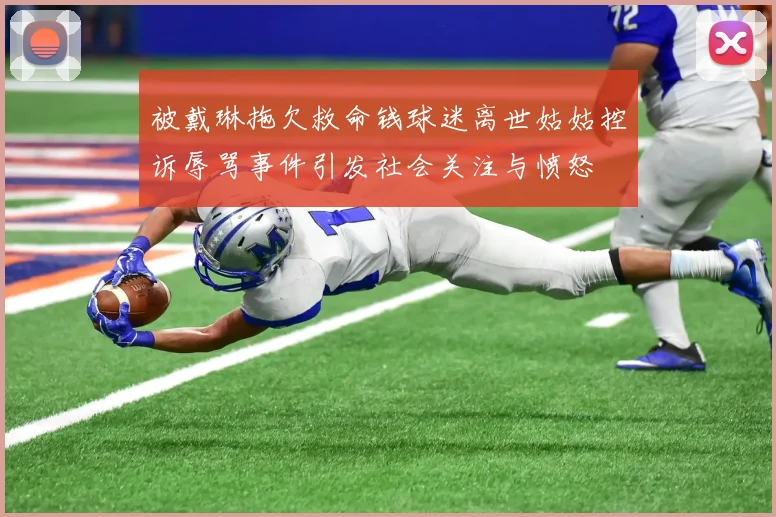 被戴琳拖欠救命钱球迷离世姑姑控诉辱骂事件引发社会关注与愤怒