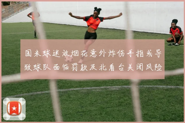 国米球迷放烟花意外炸伤手指或导致球队面临罚款及北看台关闭风险