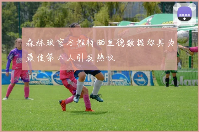 森林狼官方推特晒里德数据称其为最佳第六人引发热议