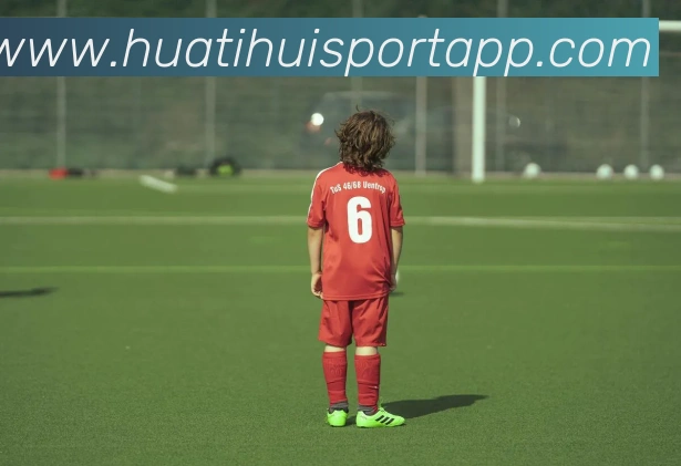 App Interface Preview